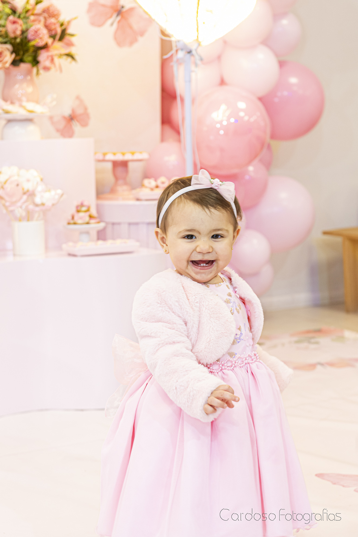 Fotógrafa ANiversário infantil Blumenau