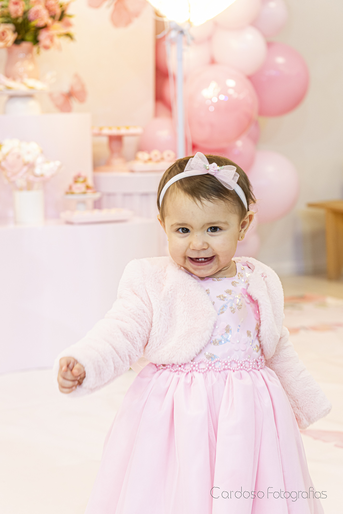 Fotógrafa ANiversário infantil Pomerode