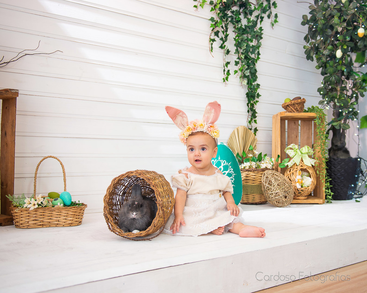 foto cardoso estudio
