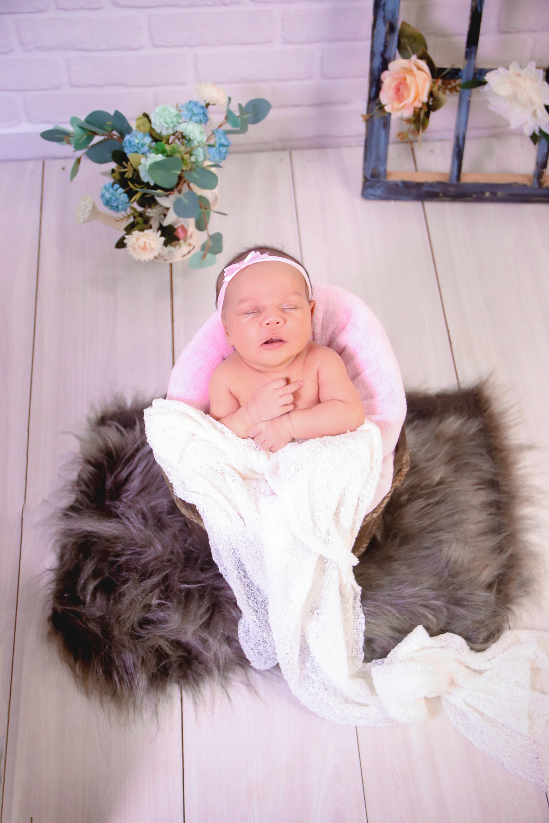 newborn em sp