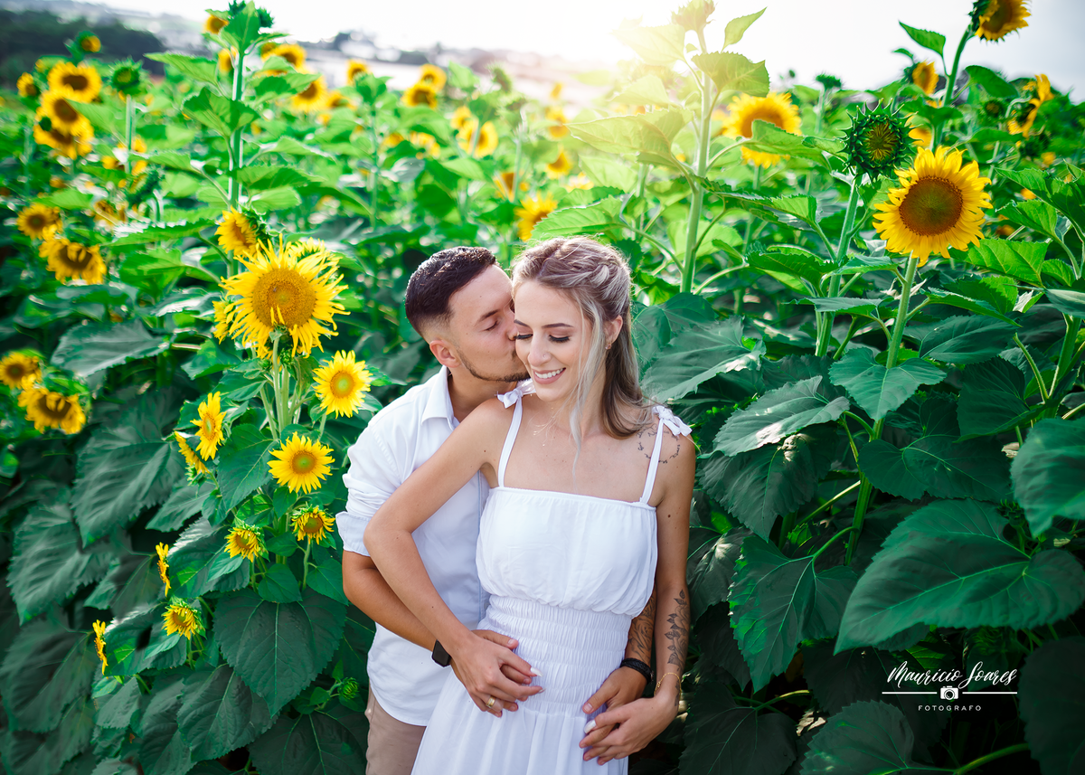 Campo-dos-girassóis