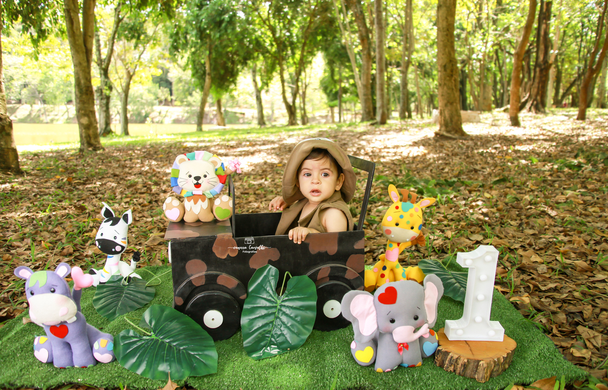 Smash the cake Lucas