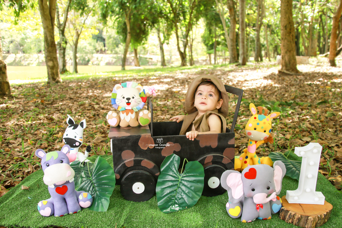 Smash the cake Lucas