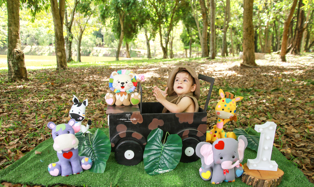 Smash the cake Lucas