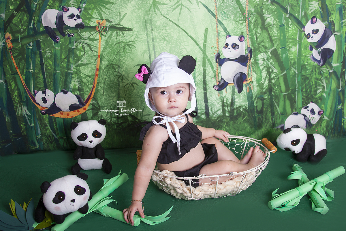 acompanhamento mensal panda