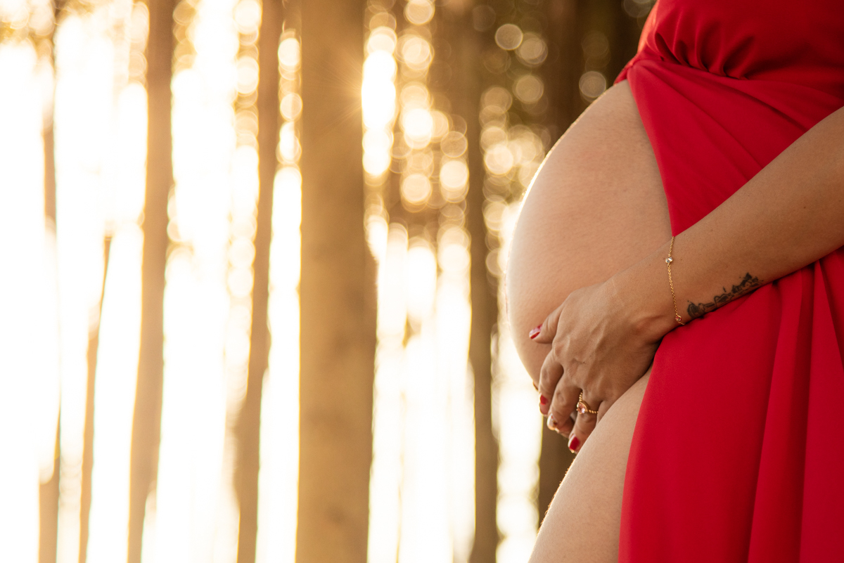 Ensaio gestante, um close da barriga com os eucaliptos ao fundo e sol passando por eles. Fotos feitas em Campo Grande-MS, por Pedro Stanke, fotógrafo de família e fotógrafo de gestantes.