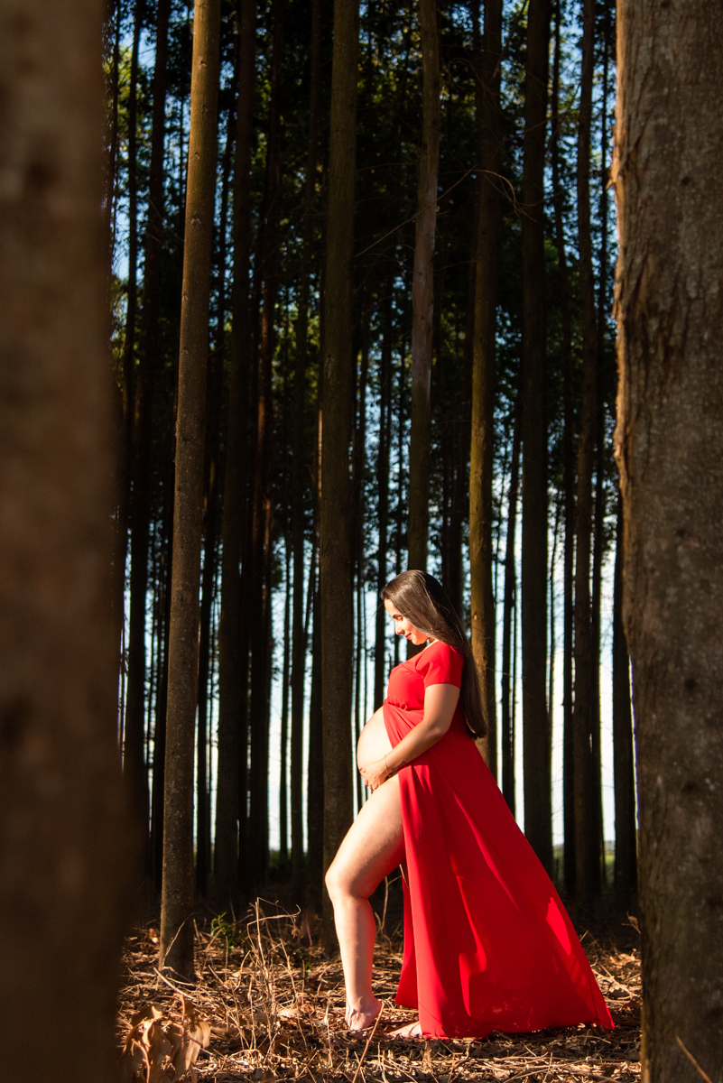 Ensaio gestante, Gestante com as mãos na barriga, olhando para barriga, com vestido vermelho, no meio dos eucaliptos. Fotos feitas em Campo Grande-MS, por Pedro Stanke, fotógrafo de família e fotógrafo de gestantes.