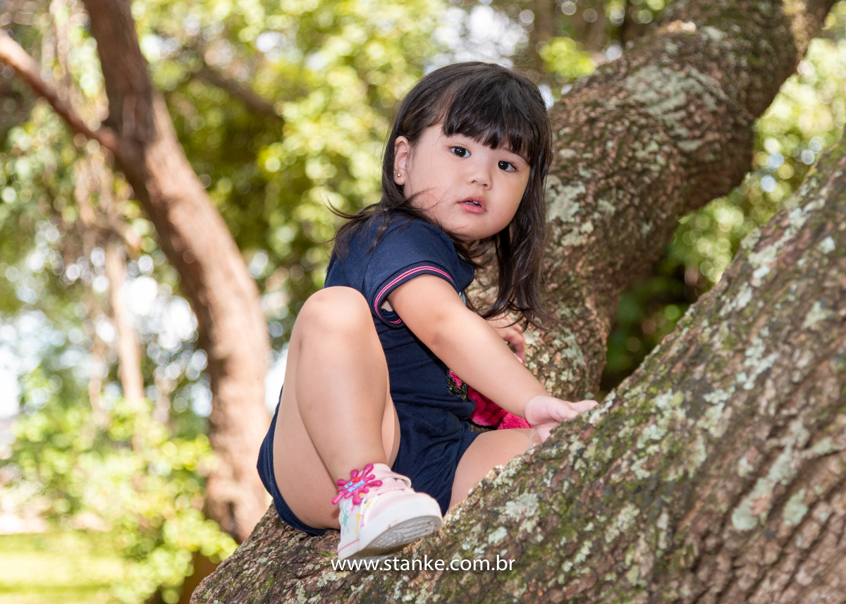 Ensaio Luísa de 2 anos, aniversariante com macacão azul, sentada nos galhos da árvore, séria e olhando para câmera. Fotos realizadas no Carandá Bosque, pelo fotógrafo Pedro Stanke. 