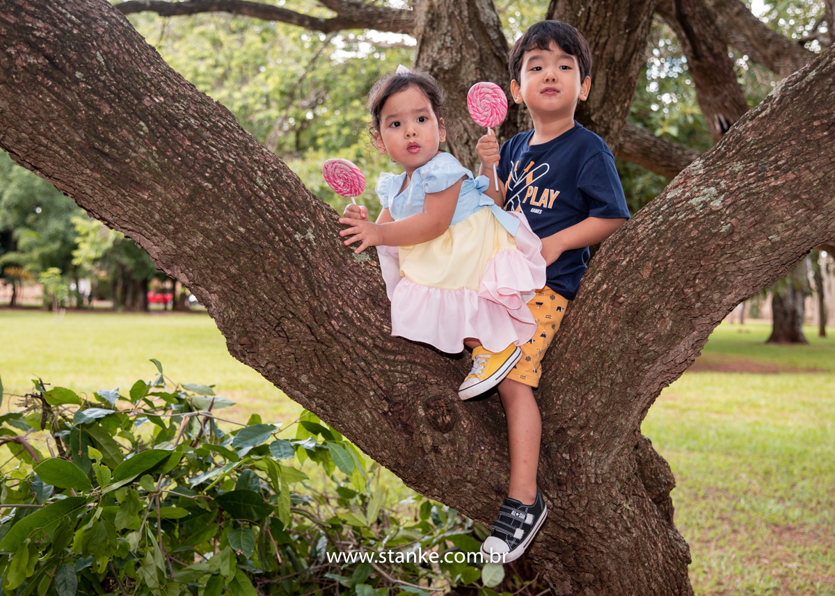 Ensaio infantil da Clara com 2 anos, Aniversariante e seu irmão, ambos em cima de um galho da árvore com seus pirulitos. Fotos feitas no Bosque da Paz, pelo fotógrafo Pedro Stanke. 