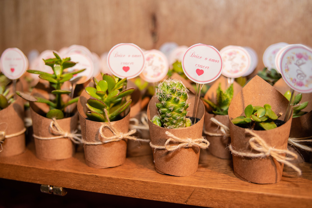 plantas para decoracao de casamiento