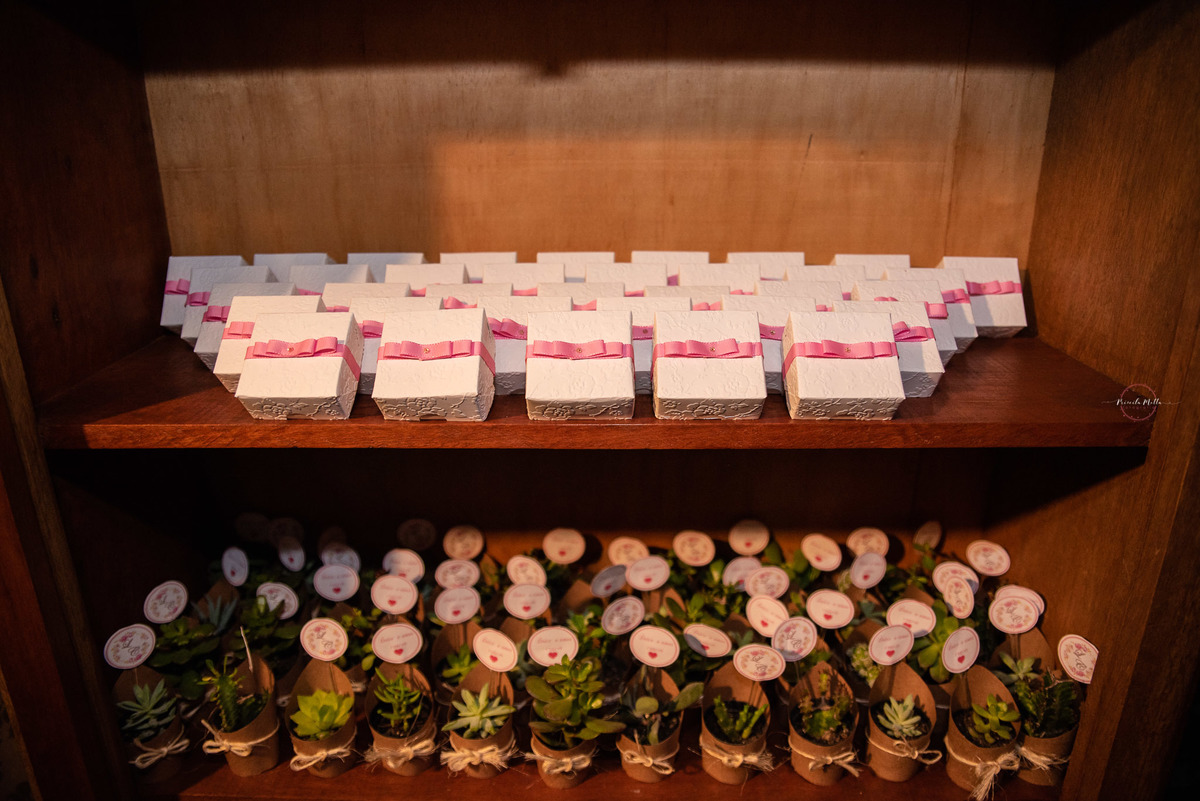 decoracao com plantas 