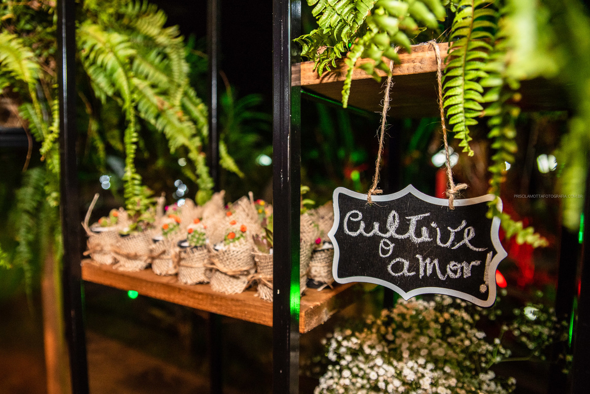 cactos para decoração de casamento 