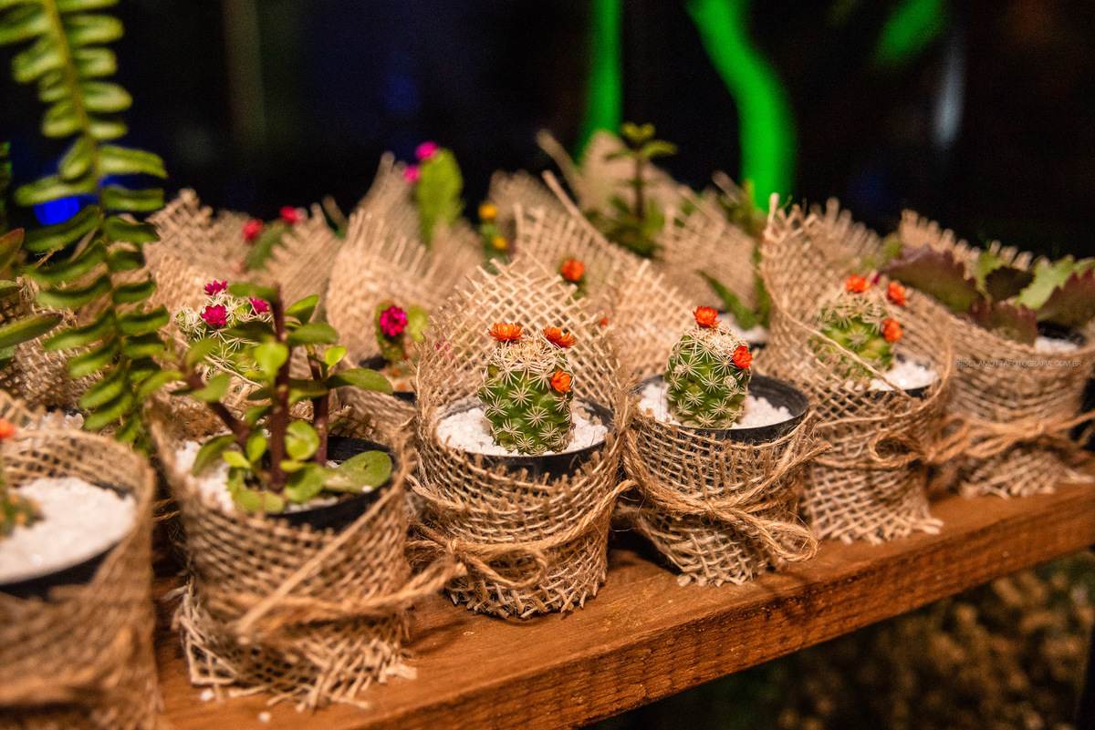 cactos decorados para casamento 