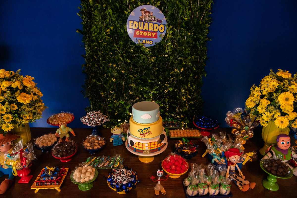 decoração toa story