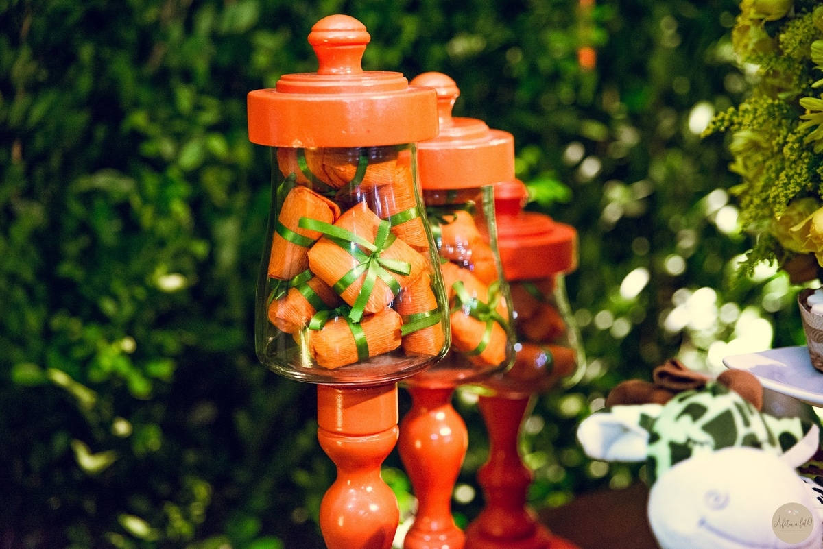 bem vividos tema safari 