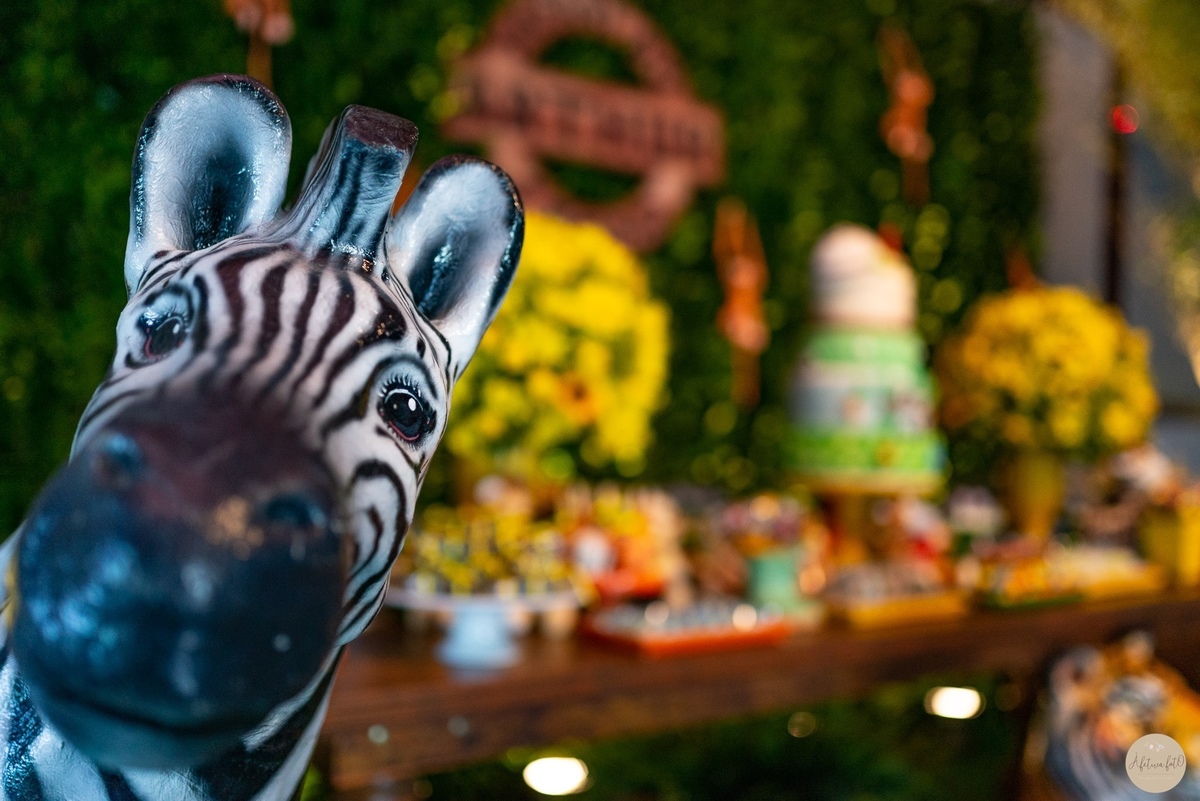 decoração sarrafo em São Gonçalo 