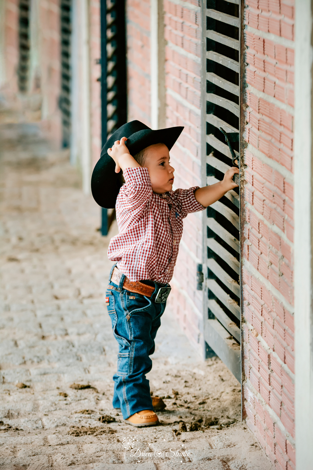 fotos externas - fotos ao ar livre - fotos família - fotografia - smash de cake - família feliz - modelos de fotos externas - bolo - drica studio fotografia - xinguara - pará - irmãos - country 