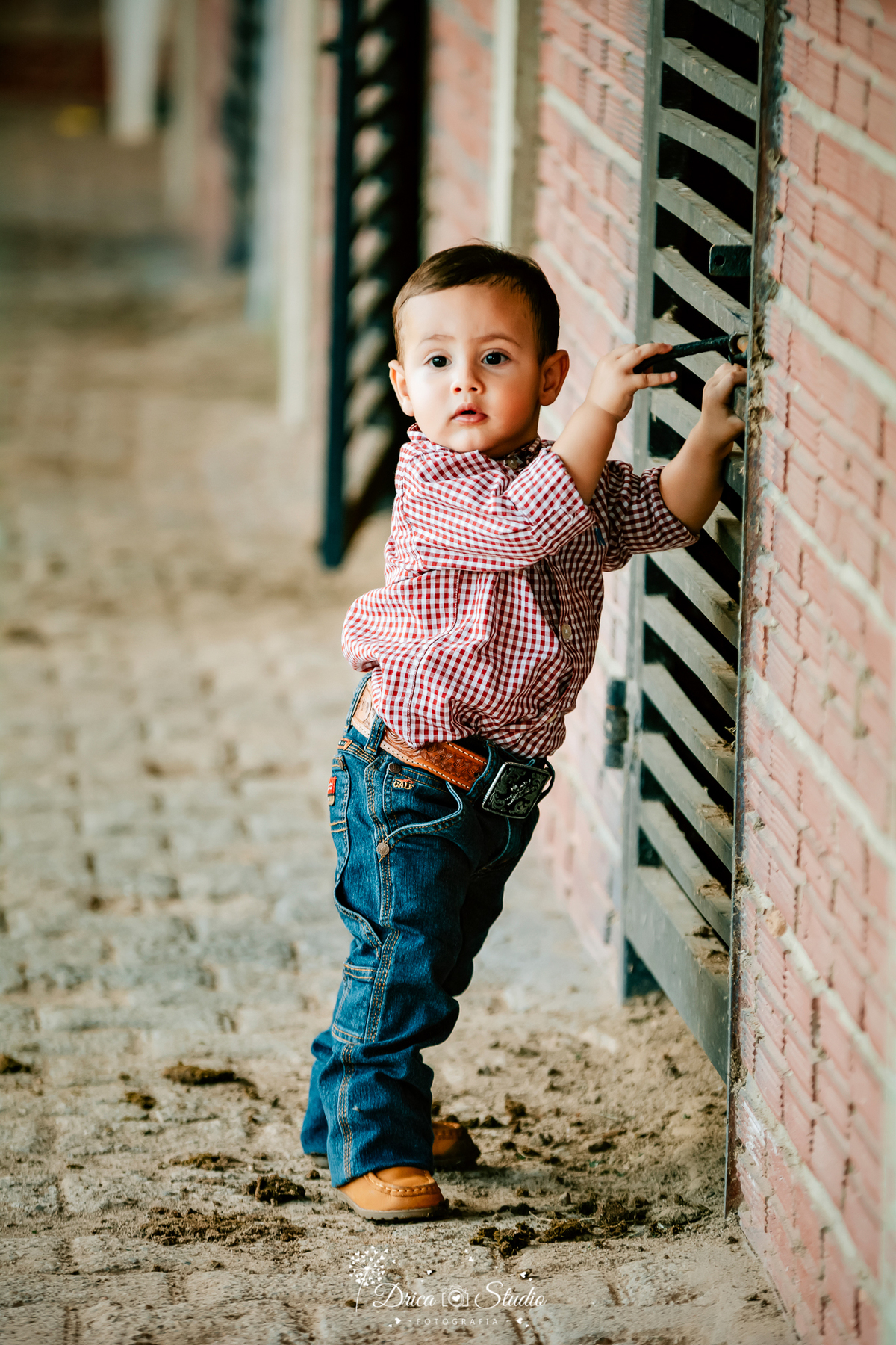 fotos externas - fotos ao ar livre - fotos família - fotografia - smash de cake - família feliz - modelos de fotos externas - bolo - drica studio fotografia - xinguara - pará - irmãos - country 