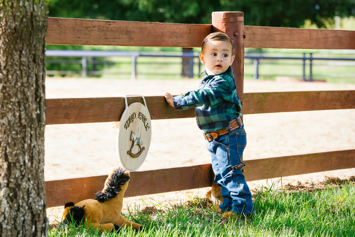 fotos externas - fotos ao ar livre - fotos família - fotografia - smash de cake - família feliz - modelos de fotos externas - bolo - drica studio fotografia - xinguara - pará - irmãos - country 