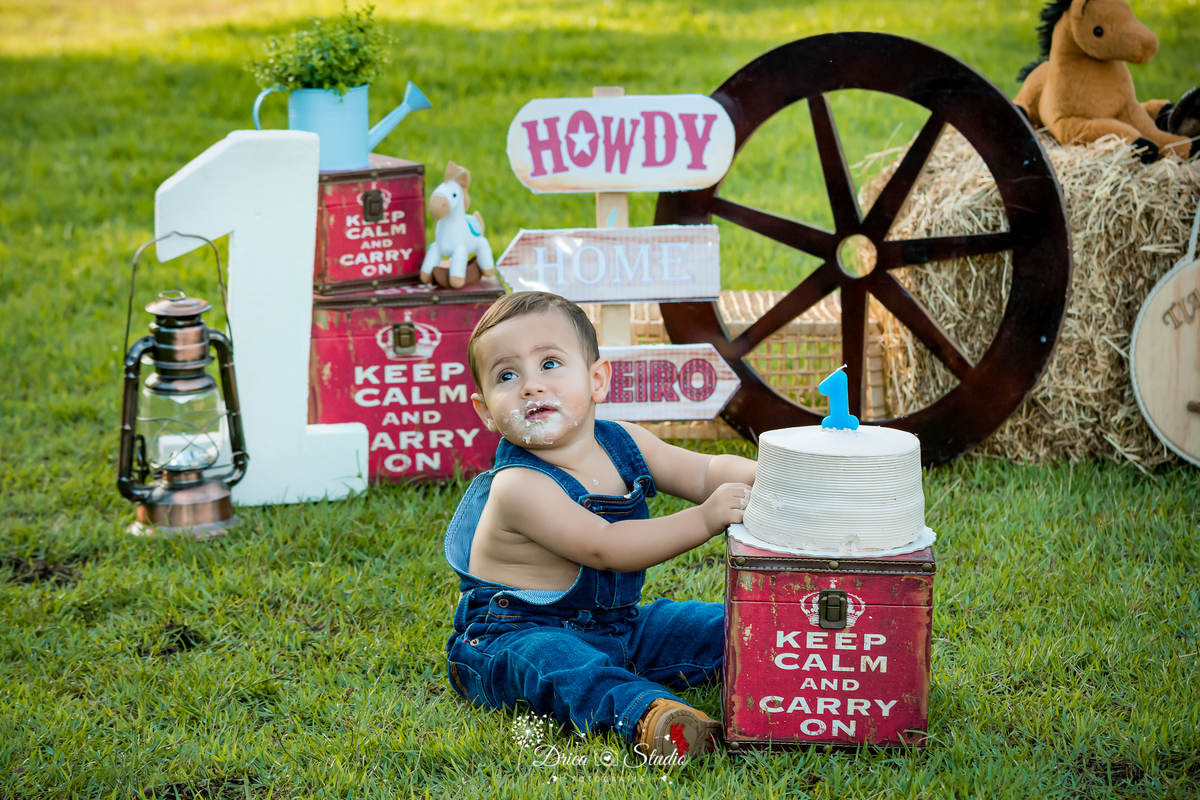 fotos externas - fotos ao ar livre - fotos família - fotografia - smash de cake - família feliz - modelos de fotos externas - bolo - drica studio fotografia - xinguara - pará - irmãos - country 
