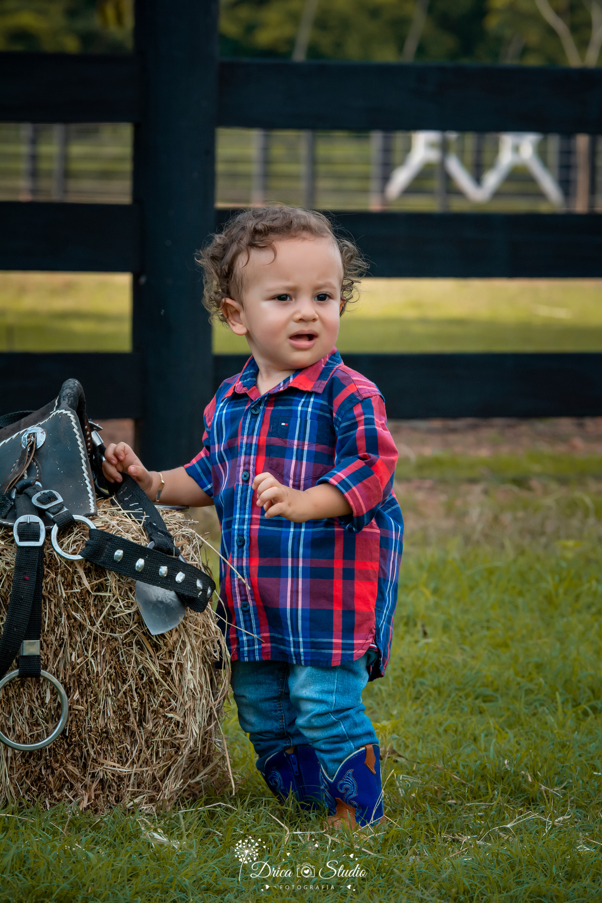 fotos externas - smash de cake - meu mundo azul - fotos em família - fotos infantis - fotos com bolo - fotos infantis country  - menino - Drica studio - fotografias - Xinguara - Pará - 1 aninho - meu primeiro aninho - acompanhamento mensal 