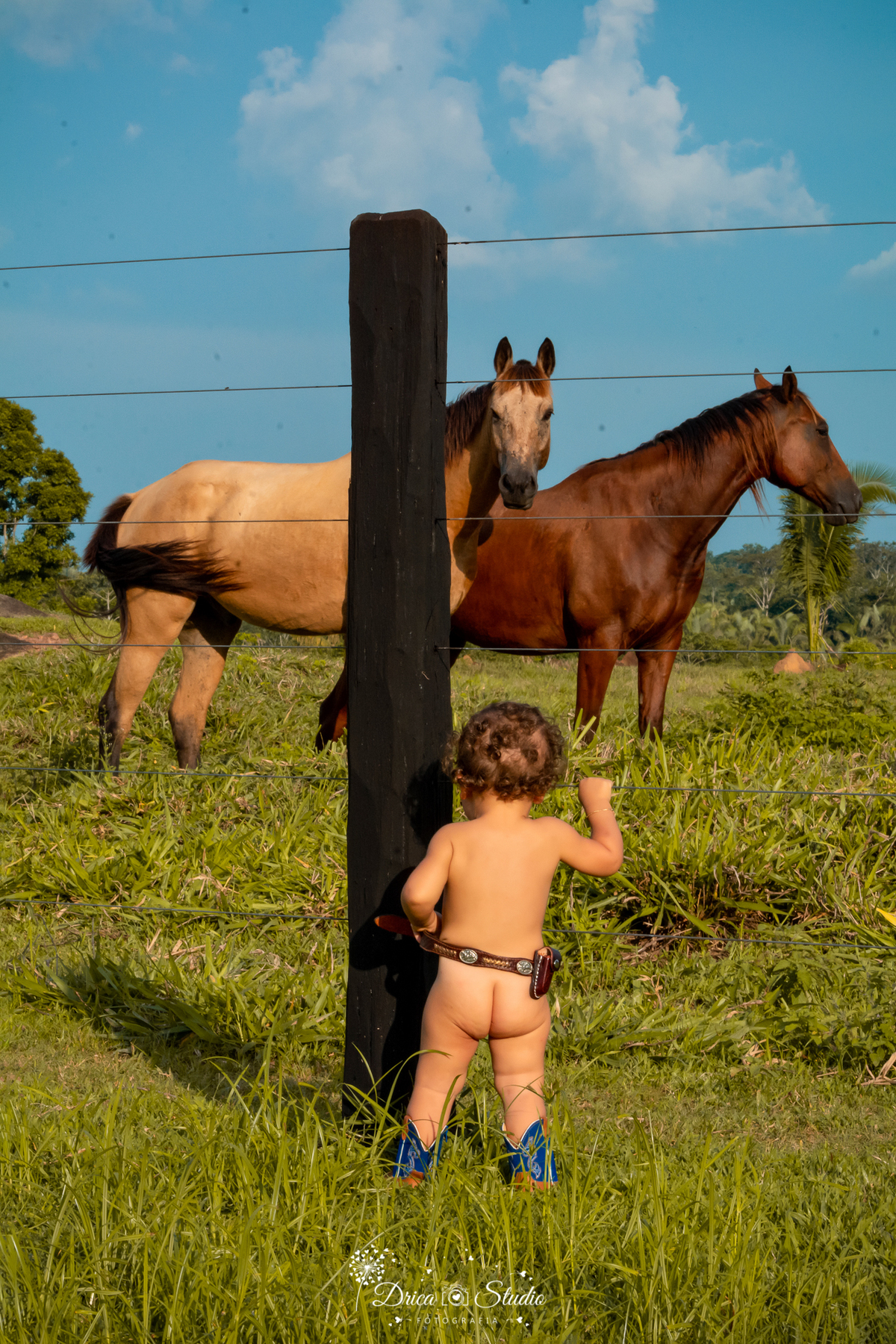 fotos externas - smash de cake - meu mundo azul - fotos em família - fotos infantis - fotos com bolo - fotos infantis country  - menino - Drica studio - fotografias - Xinguara - Pará - 1 aninho - meu primeiro aninho - acompanhamento mensal 