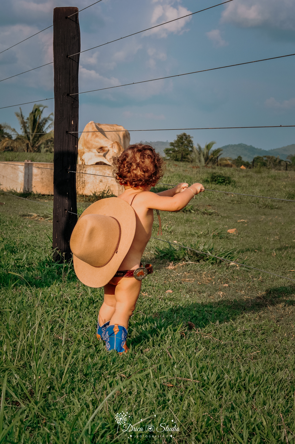 fotos externas - smash de cake - meu mundo azul - fotos em família - fotos infantis - fotos com bolo - fotos infantis country  - menino - Drica studio - fotografias - Xinguara - Pará - 1 aninho - meu primeiro aninho - acompanhamento mensal 