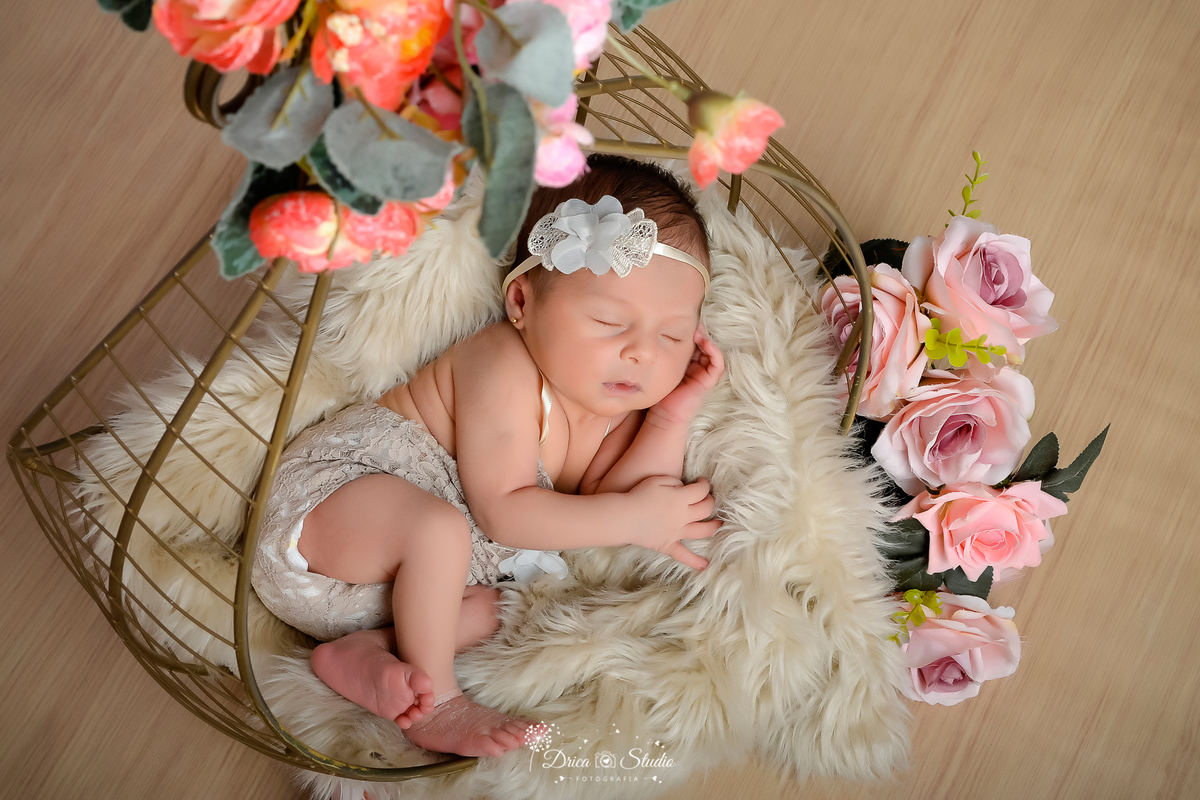 Drica Studio Fotografias  - Drica Studio Xinguara Para - book recém nascido - fotos de bebê na gaiolinha 