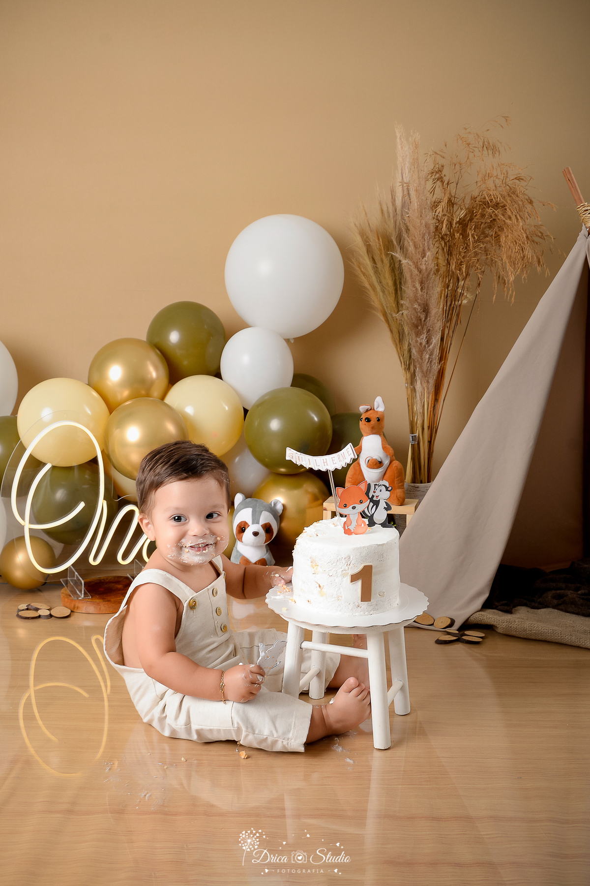 Drica Studio - Drica Studio fotografias - Xinguara Pará - smash the cake - cenario boho - marrom - verde - balões - bolo - comendo bolo - bosque encantado - one 