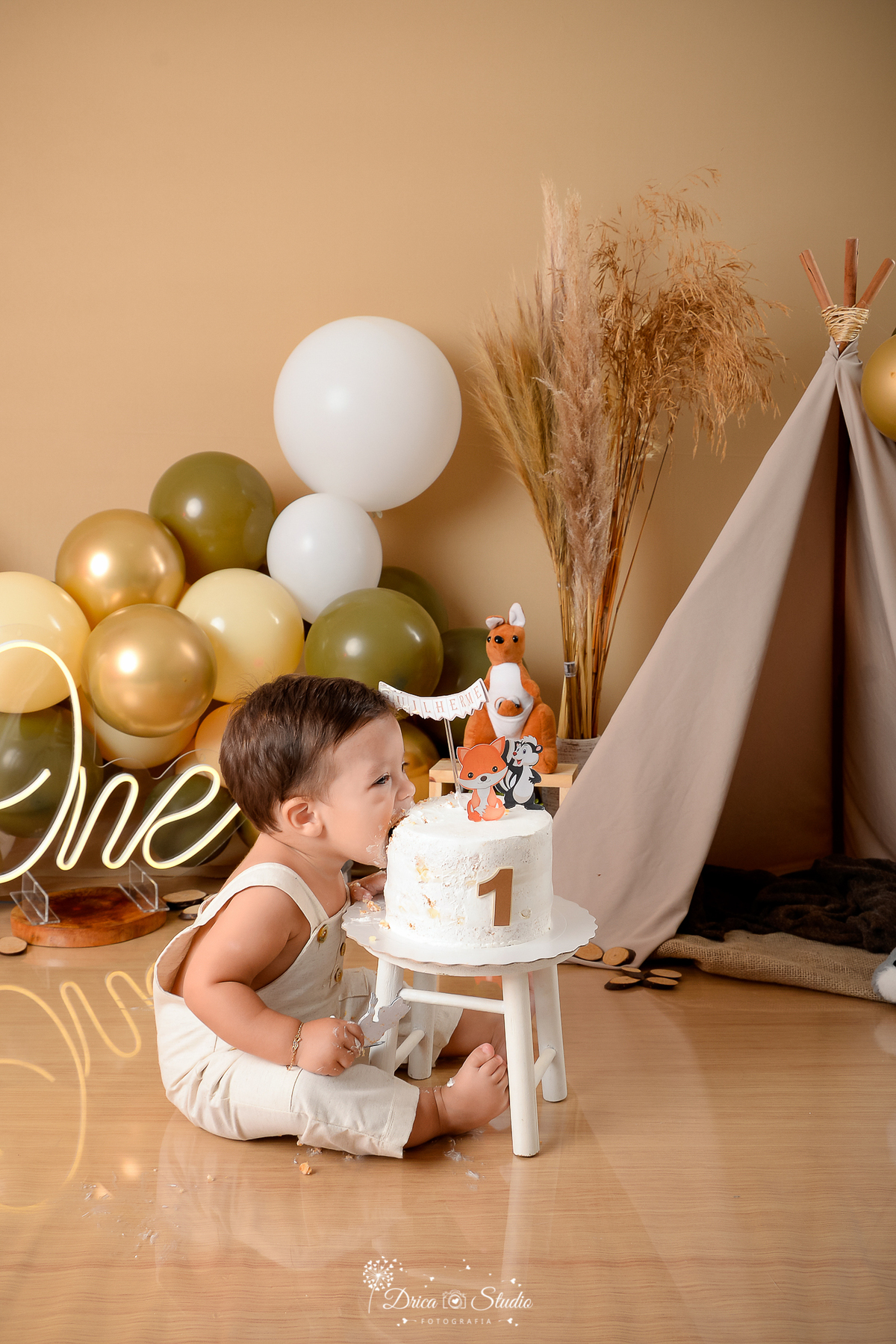 Drica Studio - Drica Studio fotografias - Xinguara Pará - smash the cake - cenario boho - marrom - verde - balões - bolo - comendo bolo - bosque encantado - one 