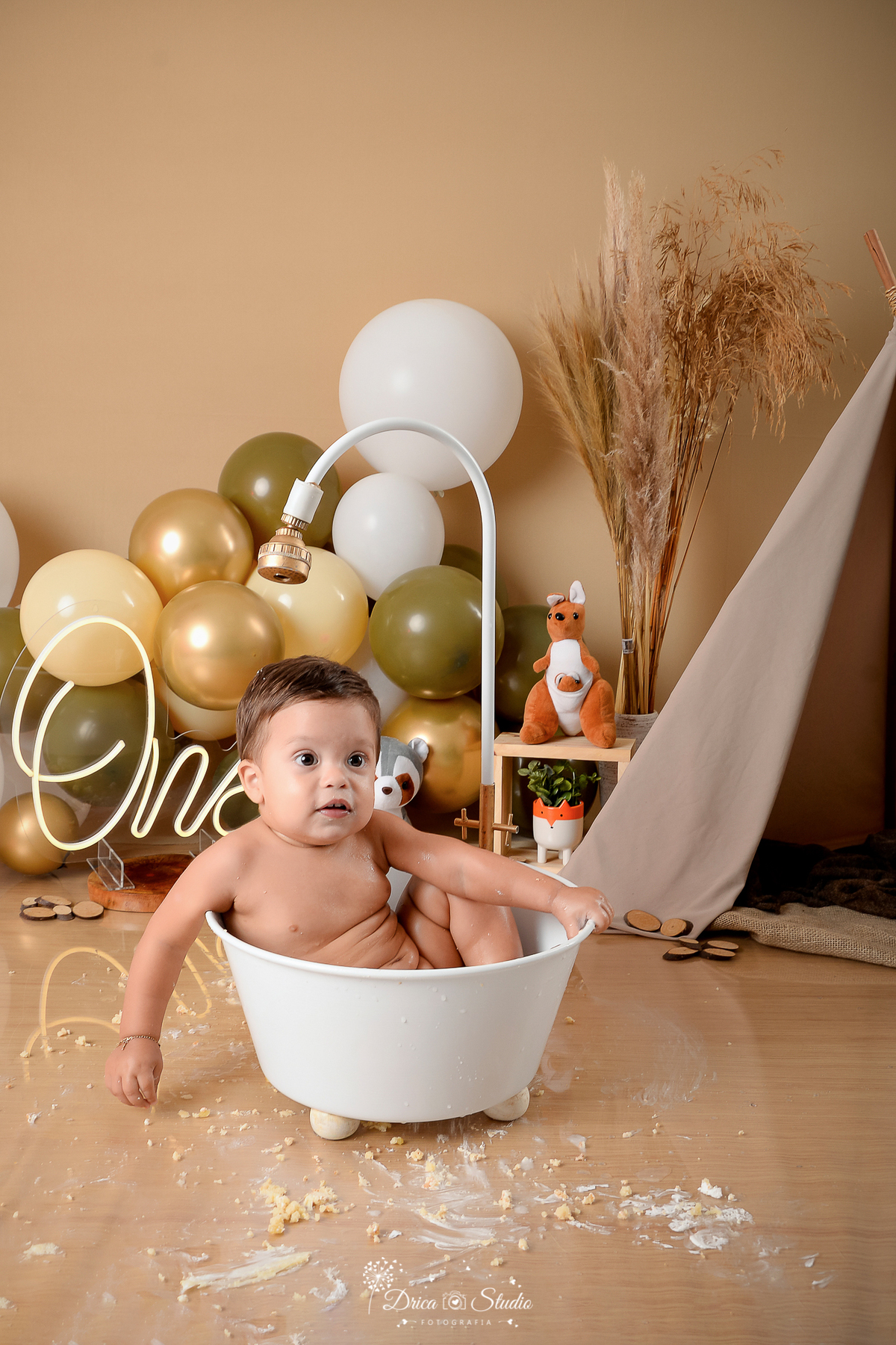 Drica Studio - Drica Studio fotografias - Xinguara Pará - smash the cake - cenario boho - marrom - verde - balões - bolo - comendo bolo - bosque encantado - one - banheira branca 