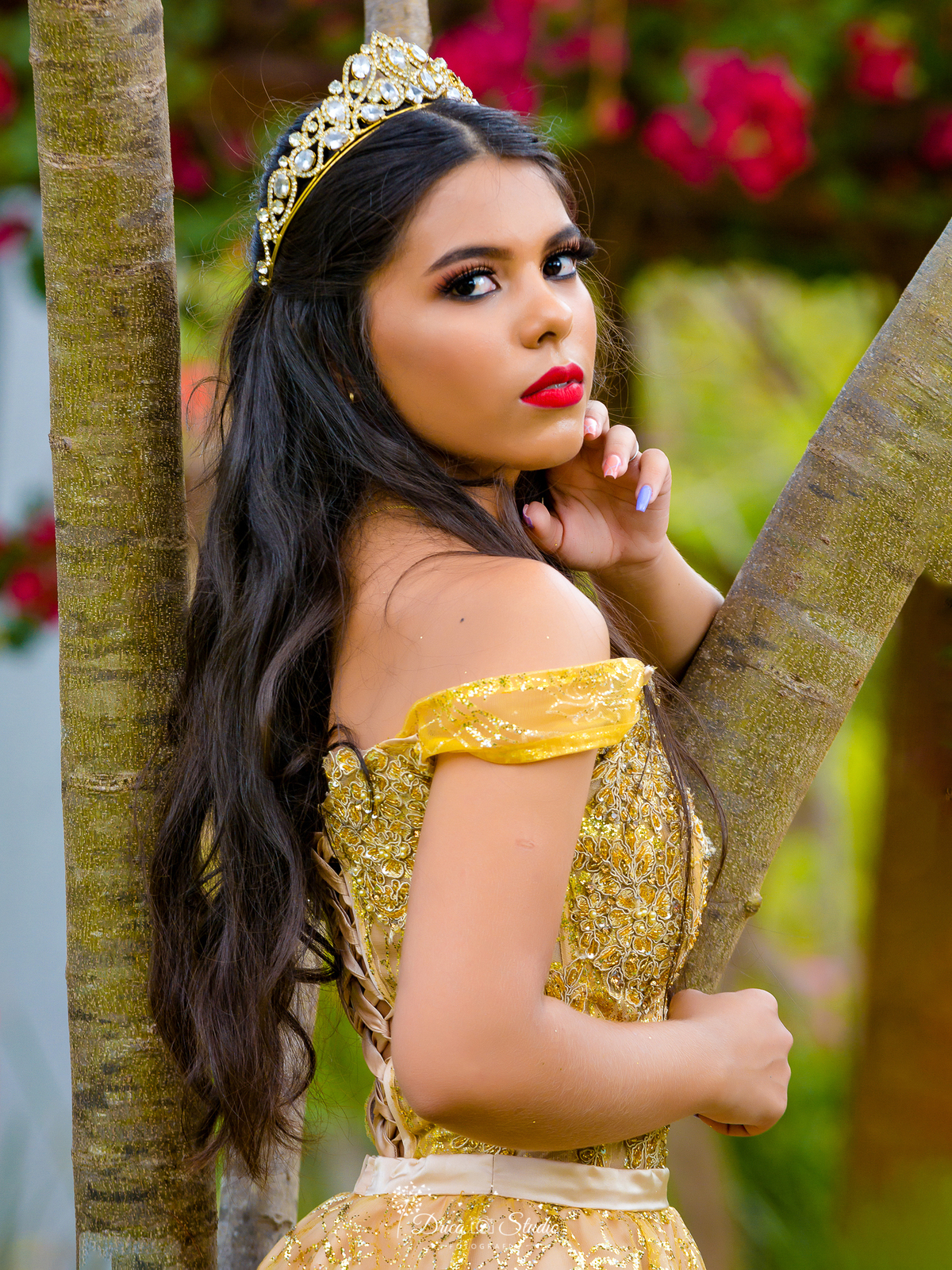 ensaio-fotografico-15-anos-debutante-estúdio-studio-foto-fotografia-poses-xinguara-figurino-fotógrafa-flores-vestido-look-externa-dourado-menina-penteado-pará-paraense-carajás-mulher-princesa-aniversário