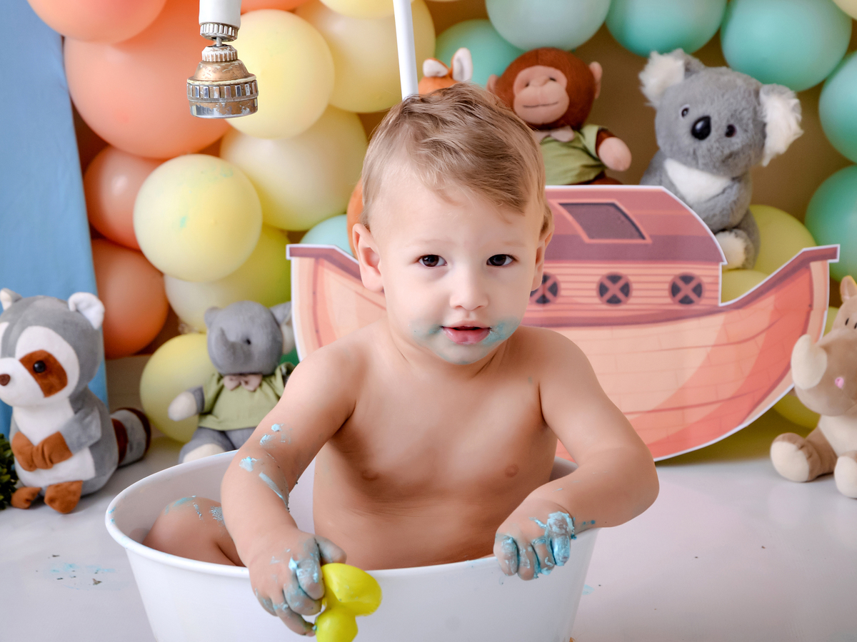 drica studio - ensaio - arca de noé - smash the cake - bichinhos - menino na banheiro