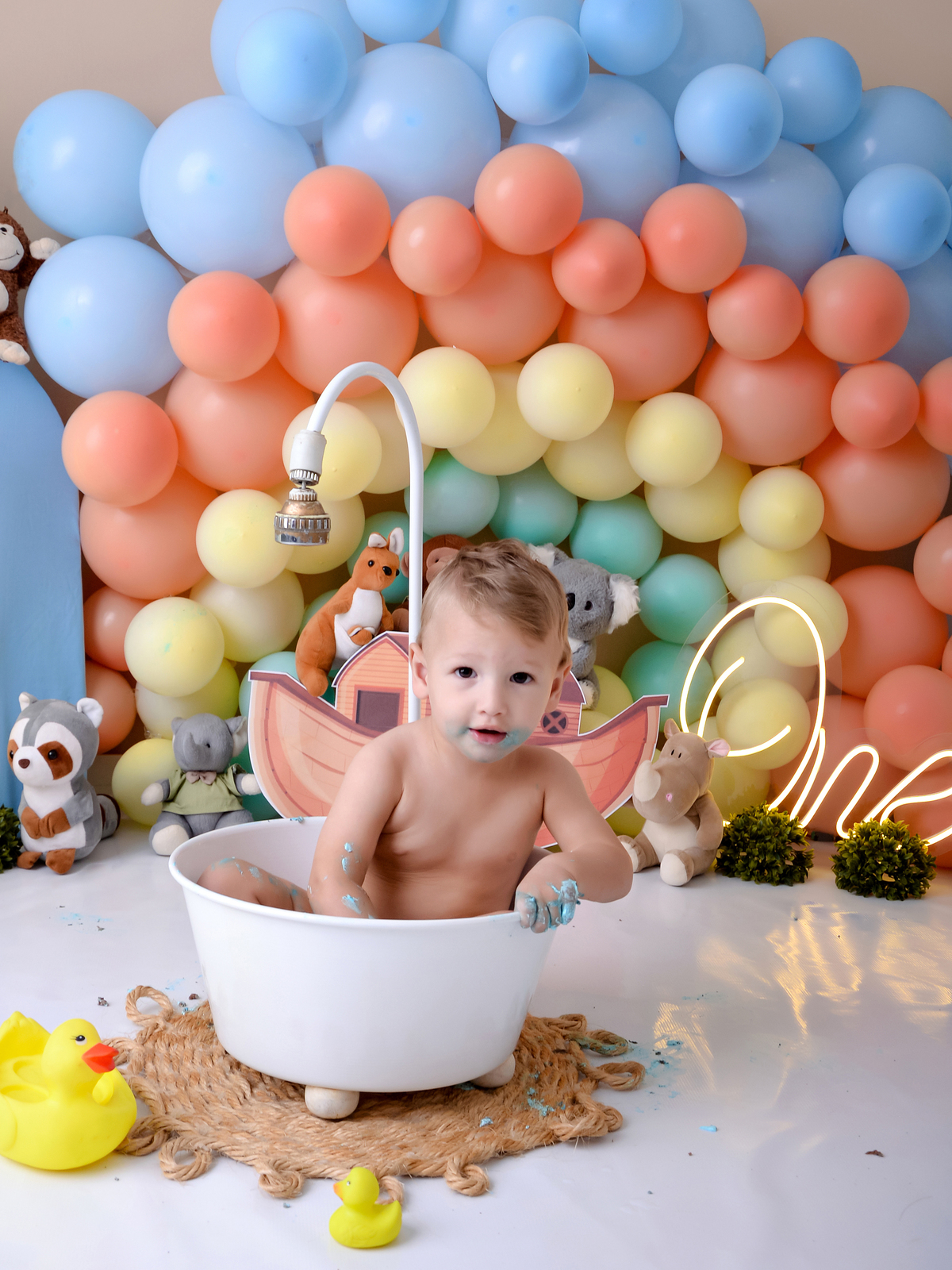 drica studio - ensaio - arca de noé - smash the cake - bichinhos -banho - banheira - balões tons pasteis
