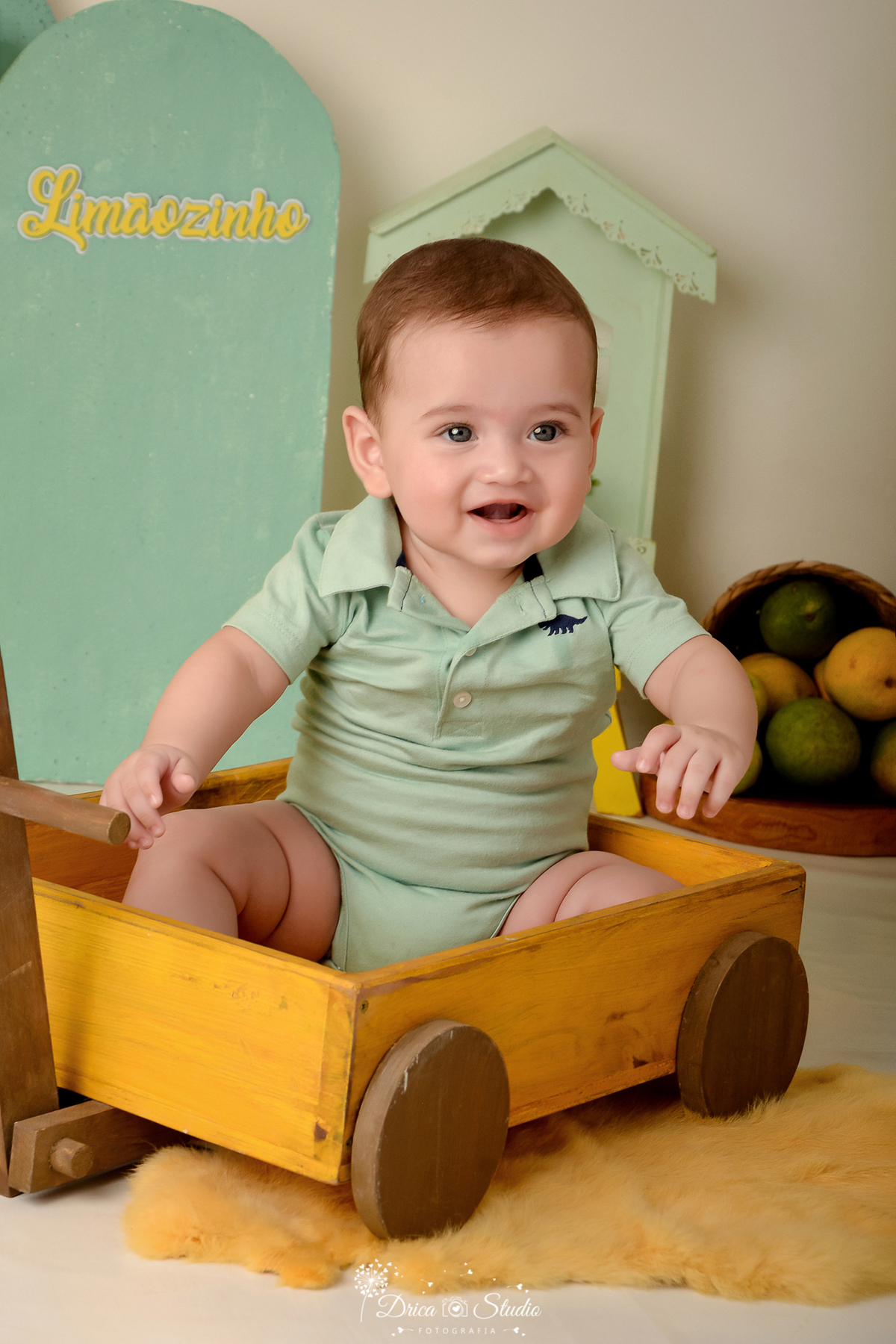 drica studio - ensaio fotográfico infantil - frutinha - limão - macação infantil verde - carrinho de madeira amarelo