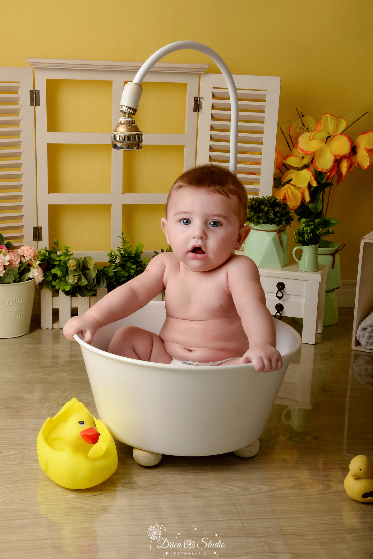drica studio - ensaio fotográfico - xinguara - bebê sentado dentro de banheira branca, cômoda com vasos verde erva-doce e flores amarela - janela branca com arbusto