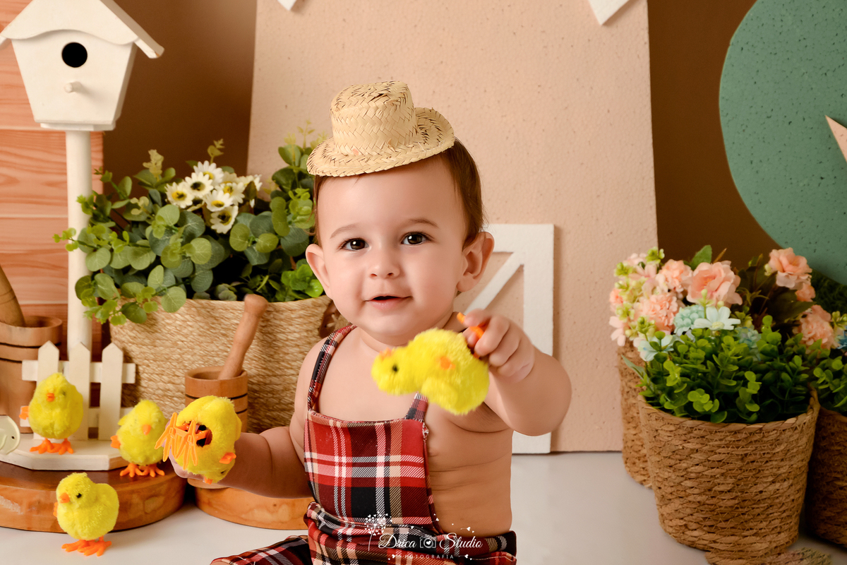 drica studio - ensaio fotografico infantil - fazendinha - xinguara - bebê sentado no chão, vestindo jardineira xadrez e chapéu de palha , segurando pintinho amarelo - casa de passarinho - moinho de vento - cestos de palha com flores - fundo bege