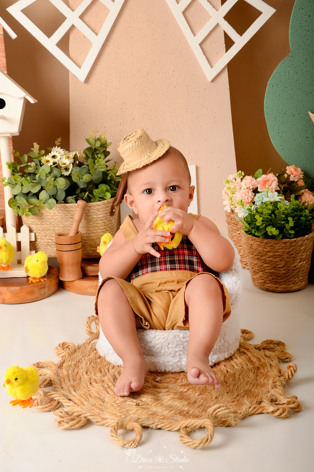 drica studio - ensaio fotografico infantil - fazendinha - xinguara - bebê sentado em poltrona, vestindo bory marrom com detalha em xadrez , com chapéu de palha, segurando pintinho amarelo- cesto de palha com flores - pilão de madeira - moinho de vento 