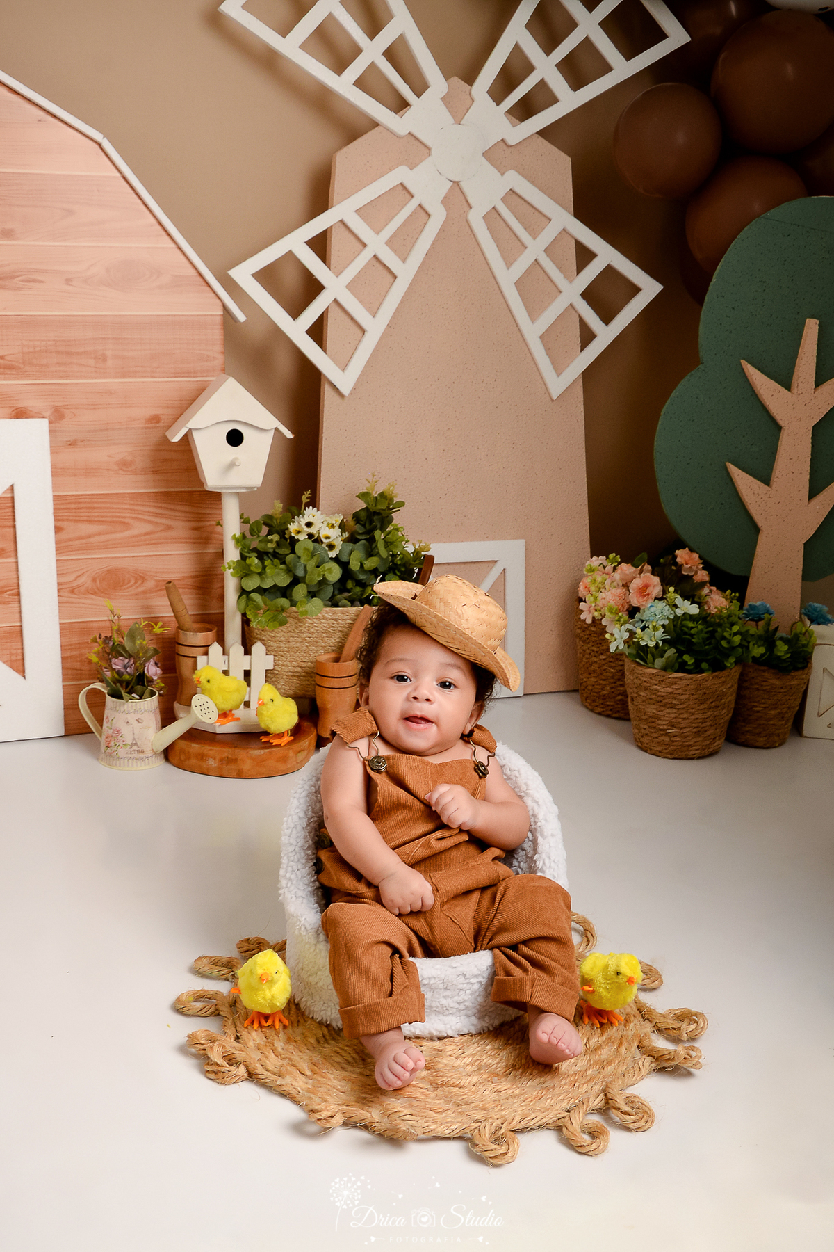 drica studio - ensaio fotografico infantil - fazendinha - xinguara - bebê sentado em poltrona, vestindo macacão marrom e chapéu de palha - casa de passarinho - árvore de isopor - regador com flores - cestos de palha com flores - pintinhos amarelo - moinho