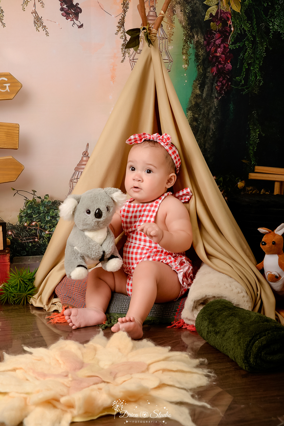 drica studio-ensaio fotografico infantil - acampamento infantil - xinguara - pará -bebê usando bory xadrez branco com vermelho - cabaninha bege - coala de pelúcia - plaquinha de indicação - fundo tema floresta