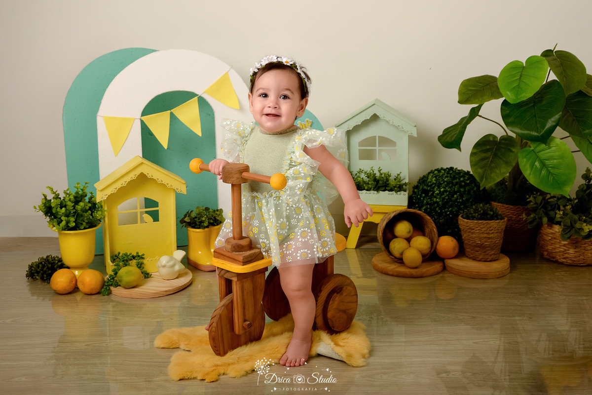 drica studio-ensaio fotográfico infantil - acompanhamento mensal - tema limãozinho - bebê sentada em bicicletinha de madeira amarela - bory com tule e florzinha - tiara de margaridas - casinha verde e amarela - cestos de palha com plantas dentro - limões 