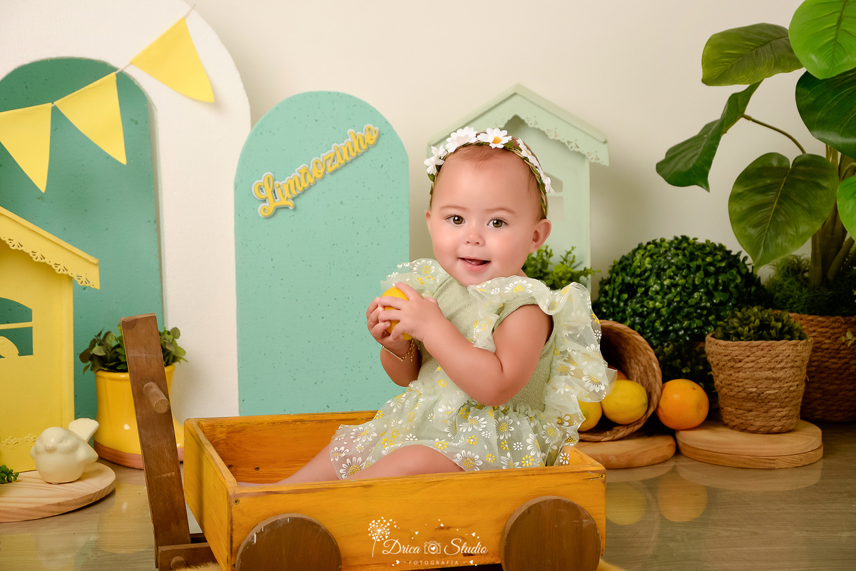 drica studio-ensaio fotográfico infantil - acompanhamento mensal - tema limãozinho -bebê sentada dentr de carrinho de madeira amarelo segurando um limão- paines verde - fundo neutro - casinhas verde e amarela - bandeirolas amarelas