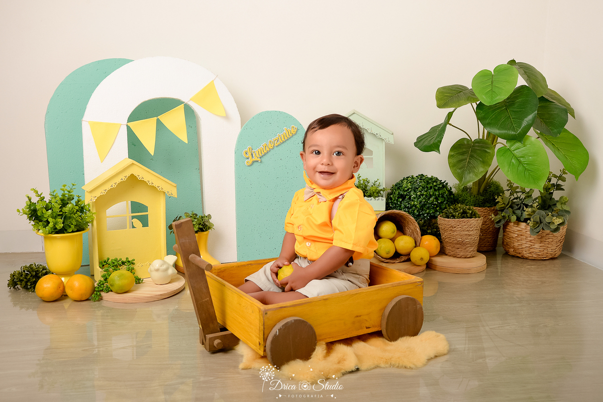 drica studio-ensaio fotográfico infantil - acompanhamento mensal - tema limãozinho - bebê sentado dentro de carrinho de madeira amarelo - casinhas verde e amarela- cestos de palha com plantas dentro - vaso amarelo - camisa amarela -paineis verde e branco