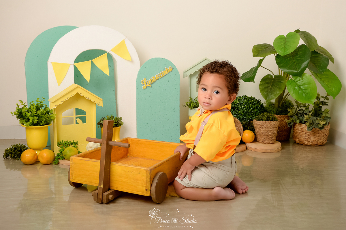 drica studio-ensaio fotográfico infantil - acompanhamento mensal - tema limãozinho - bebê de joelho e frente a carrinho de madeira amarelo - cesto de palha com plantas - limões - paineis branco e verde - casinhas verde e amerela - piso amadeirado 