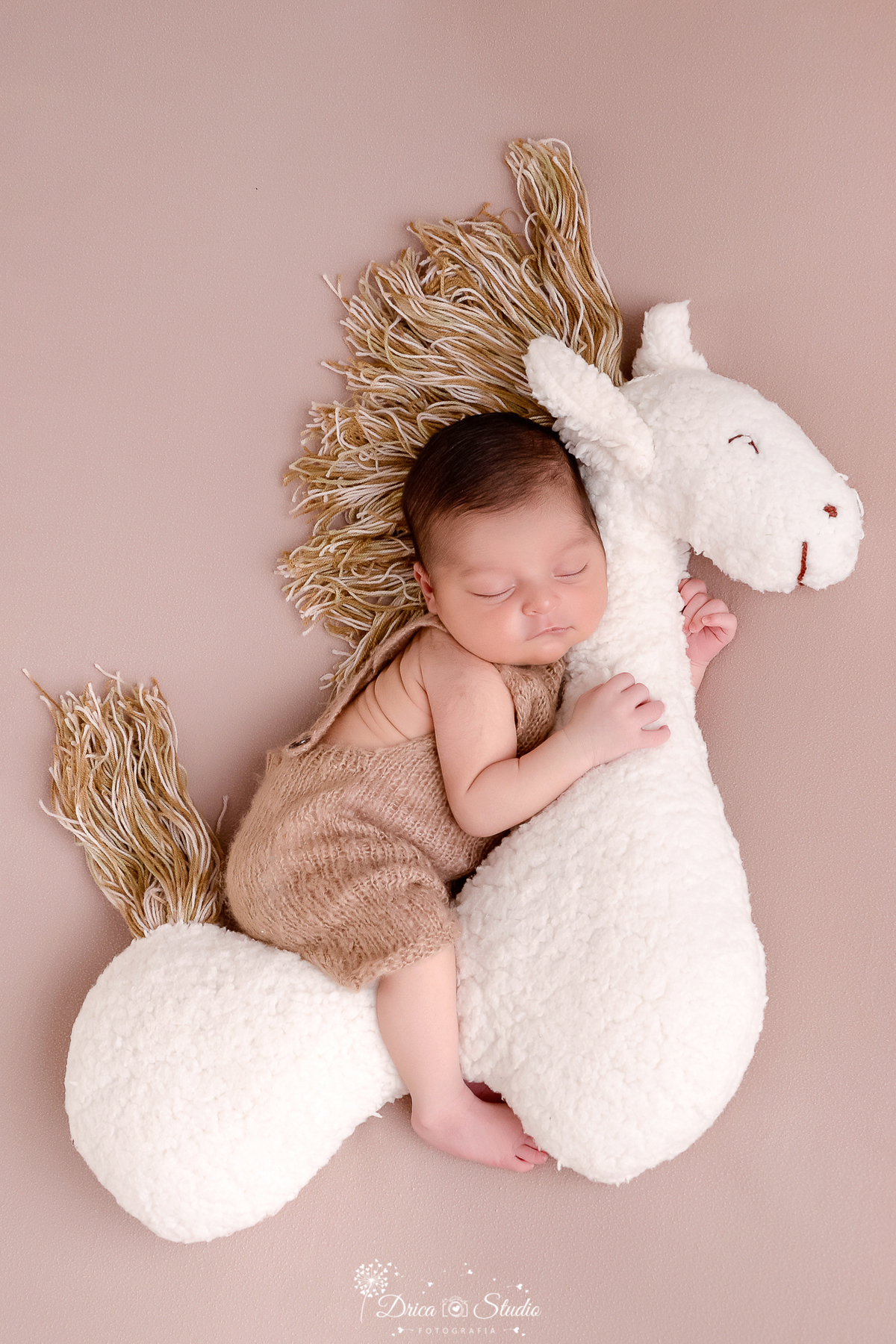 drica studio - ensaio fotografico infantil - recém-nascido - newborn masculino bebê sentado em cavalinho de pelúcia branco - macaquinho de tricô bege escuro - fundo neutro