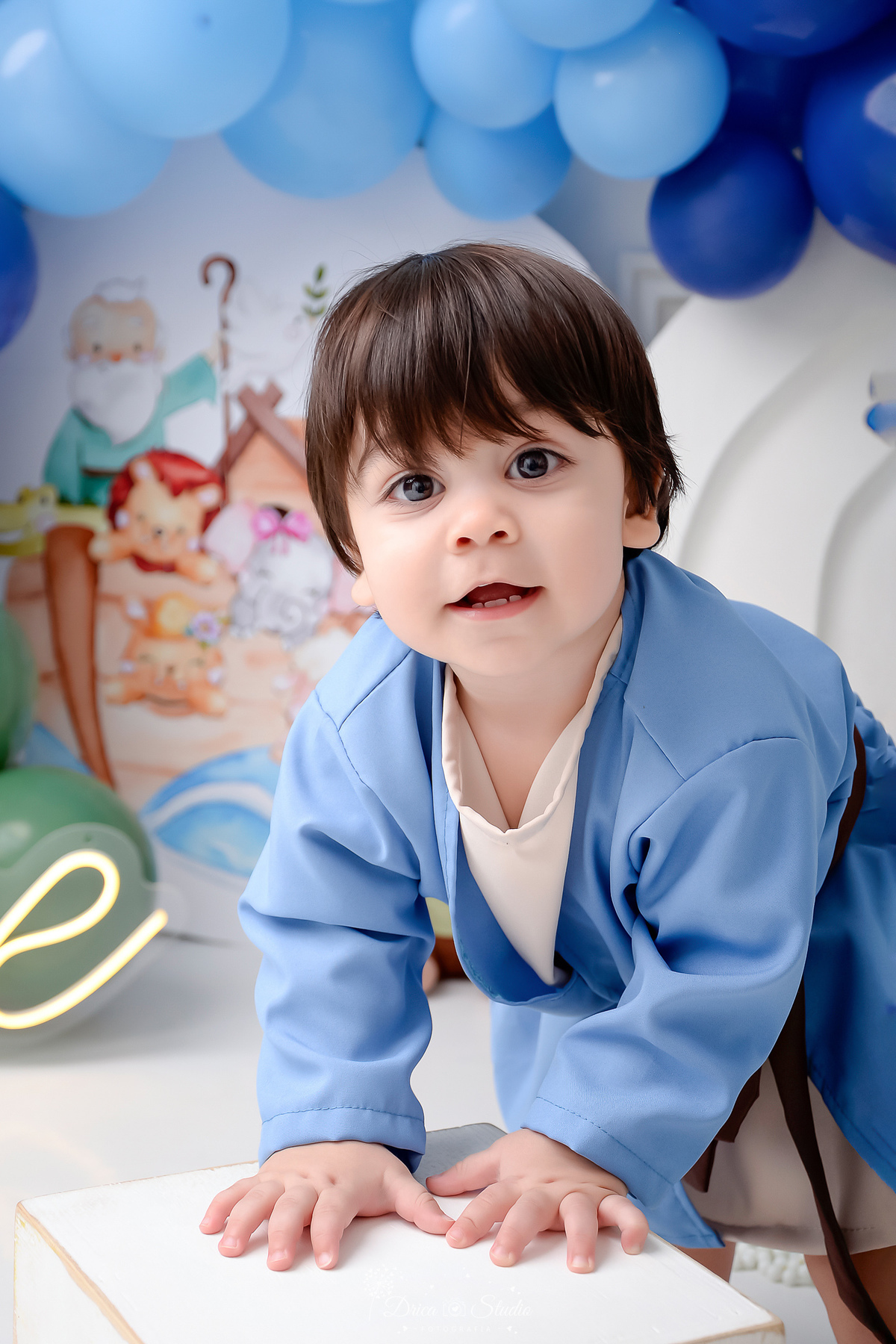 drica studio - smash the cake - tema arca de nóe - foto de rostinho do bebê - vestindo roupinha de noé - fim de acompanhamento mensal 