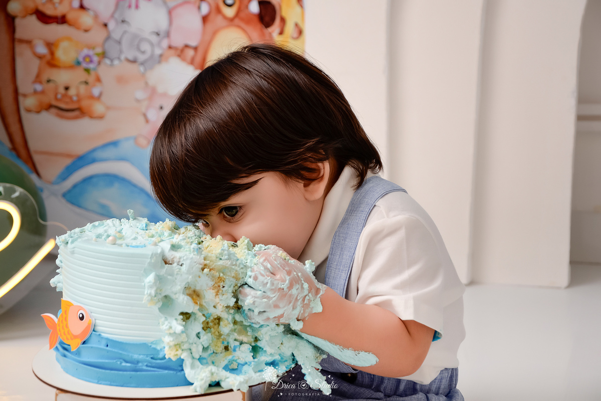 drica studio - smash the cake - tema arca de nóe - bebê comente o bolo - fim de acompanhamento mensal - 