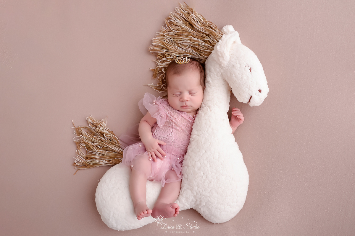 ensaio newborn - recém nascida - 11 dias de vida - drica studio - xinguara - pará  cavilho branco - bebê usando bory rosa - com mini coroa na cabeça -