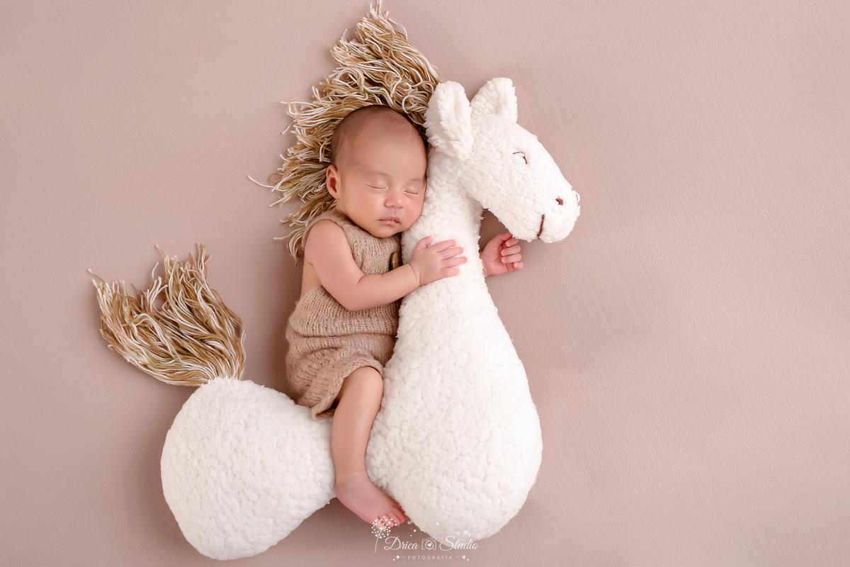 -newbornboy -bebêmenino -primeirosdias -recémnascido- dricaStudio -Xinguara - bebê em ummini cavalinho de pano - usando roupinha marrom 