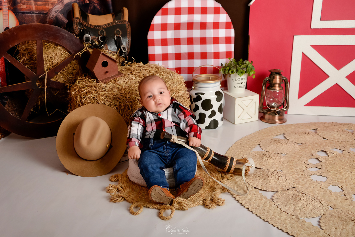 drica studio - acompanhamento mensal - cenário contruy - bota infantil - roupinhas xadrez - berrante - cavalinhos de madeiras - chapeu - 